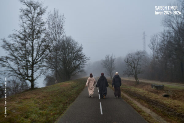 Dernière carte Saison Timor parue.