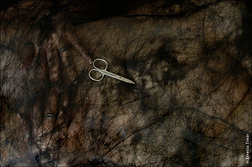 cut