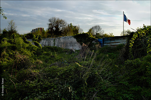 flag