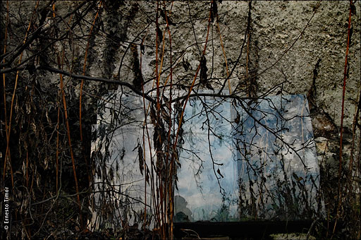 glass, vitre, miroitier