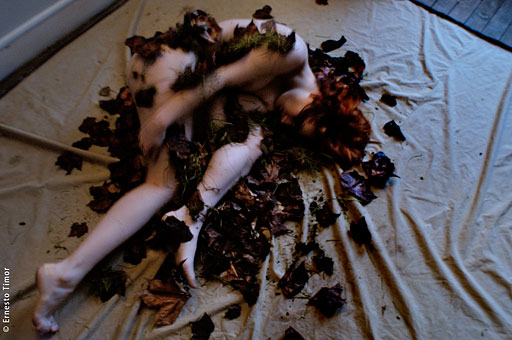 autumn-leaves, feuilles_mortes