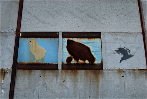 poussin