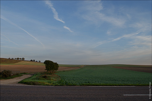 auxerrois
