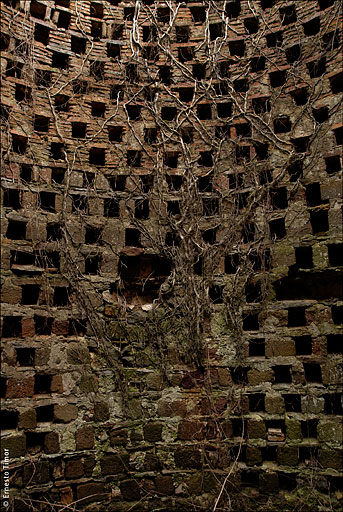 pigeonnier, colette_magny