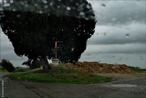 calvaire, betteraves