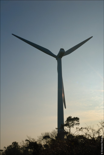 ferme_eolienne