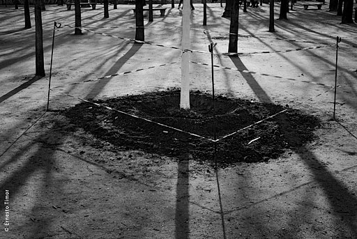 tuileries