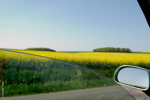 route_de_campagne, colza