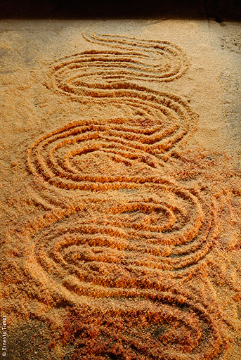 sciure, arabesques, jardin-zen