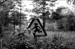 Landes, 2003