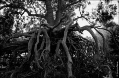 Normandie, 2003