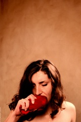 Paris et environs, 2004