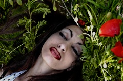 Paris et environs, 2004