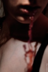 Paris et environs, 2004