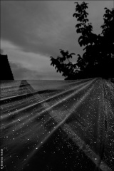 Paris et environs, 2004