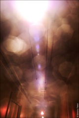 Paris et environs, 2004