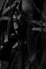 Paris et environs, 2004