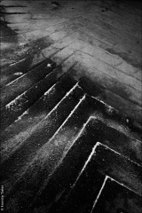 Montreuil, 2005