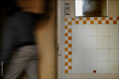 Le Pré Saint-Gervais, 2005