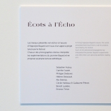 Ecots à l'écho, Photaumnales 2015