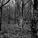 Mes champs visuels - Photo © Ernesto Timor