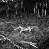 Mes champs visuels - Photo © Ernesto Timor