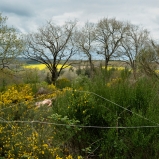 Mes champs visuels - Photo © Ernesto Timor