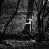 Mes champs visuels - Photo © Ernesto Timor