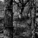 Mes champs visuels - Photo © Ernesto Timor