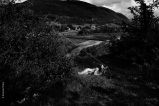 Mes champs visuels - Photo © Ernesto Timor