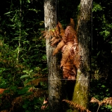 Mes champs visuels - Photo © Ernesto Timor