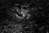 Mes champs visuels - Photo © Ernesto Timor