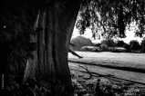 Mes champs visuels - Photo © Ernesto Timor