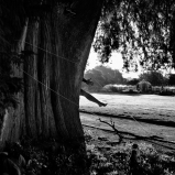 Mes champs visuels - Photo © Ernesto Timor