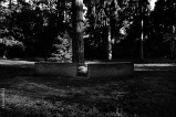 Mes champs visuels - Photo © Ernesto Timor