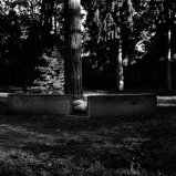 Mes champs visuels - Photo © Ernesto Timor