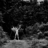 Mes champs visuels - Photo © Ernesto Timor