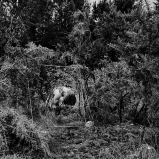 Mes champs visuels - Photo © Ernesto Timor