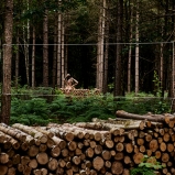 Mes champs visuels - Photo © Ernesto Timor