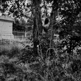 Mes champs visuels - Photo © Ernesto Timor