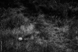 Mes champs visuels - Photo © Ernesto Timor