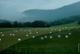 Incartades II