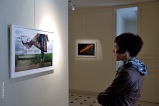 Exposition Incartades III, château de Draveil (91), oct. 2015