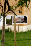 0806-repelimit7326