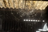 Ma galerie des glaces – 8