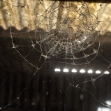 Ma galerie des glaces – 8