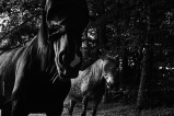 Photo © Ernesto Timor -