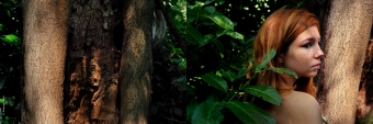 pano-emmLes limites nous regardent © Ernesto Timora-arbre-c