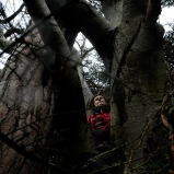Elisabeth. Kiné. Dans son arbre, au début du Beaujolais. Il suffit d’oser s’écarter du chemin, retrouver ses prises sur les deux arbres emmêlés, se blottir là où personne ne sait.