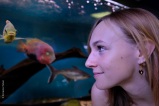 Sabrina. Apprentie. Aquarium à Villeurbanne. Aquariophile, ça commence comme à quoi rêvent les jeunes filles, ça finit on ne sait où, là où brillera la fantaisie.